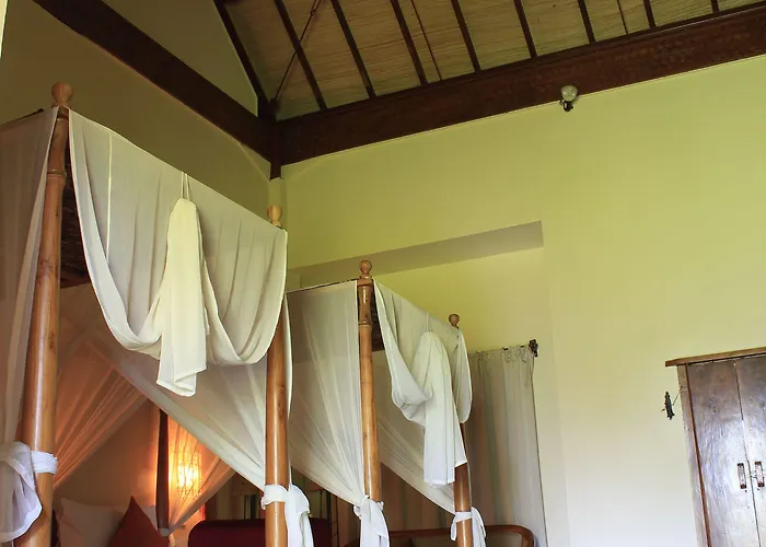 Junjungan And 3* Ubud