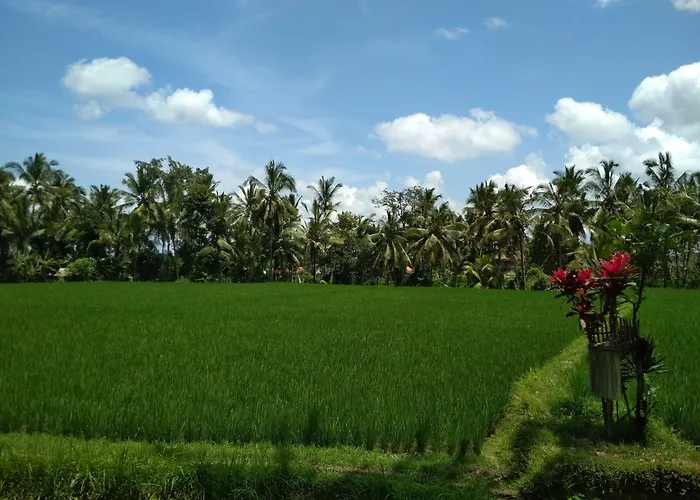 Junjungan And 3* Ubud